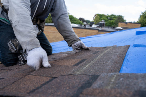 Fast & Reliable Emergency Roof Repairs in Perry, MI